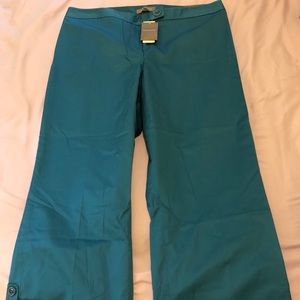 AnnTaylor Ankle pants.